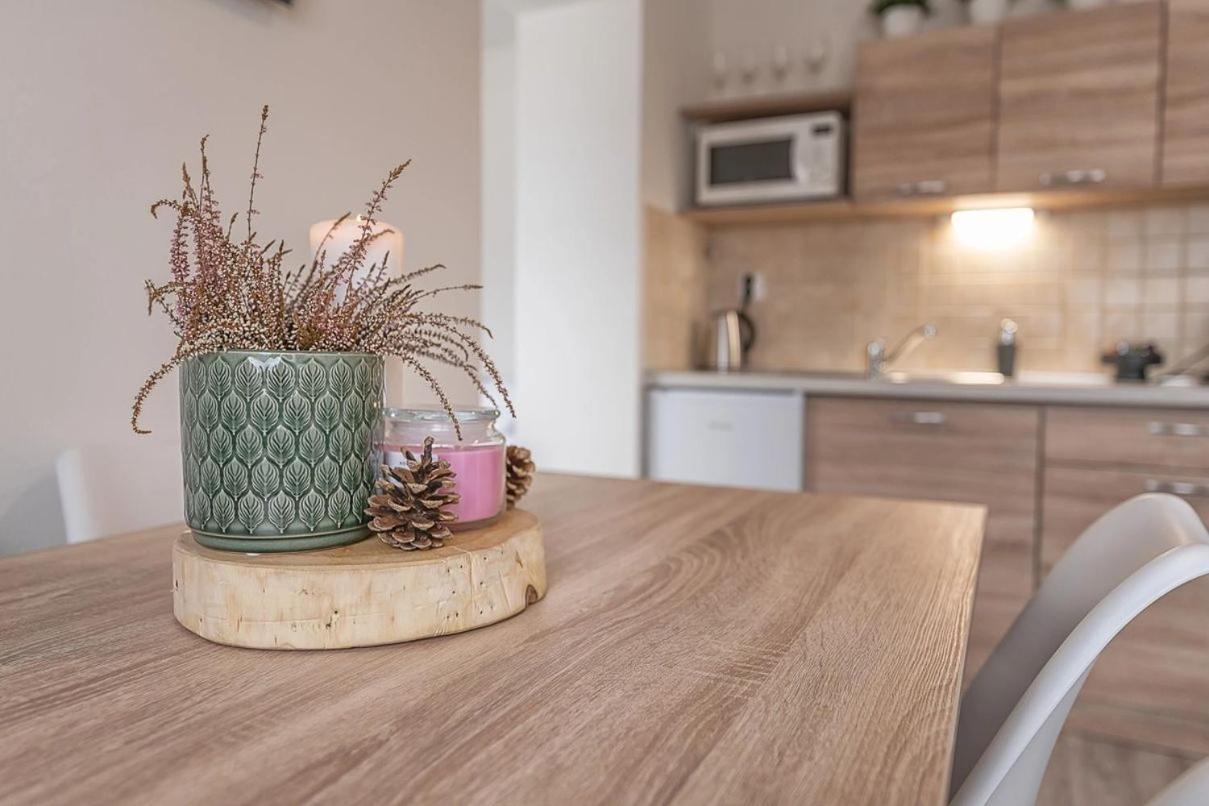 Apartmany Minata Liptovský Mikuláš エクステリア 写真